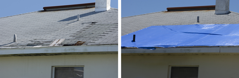 Tarp: A Bastion Against Wind and Water Damage