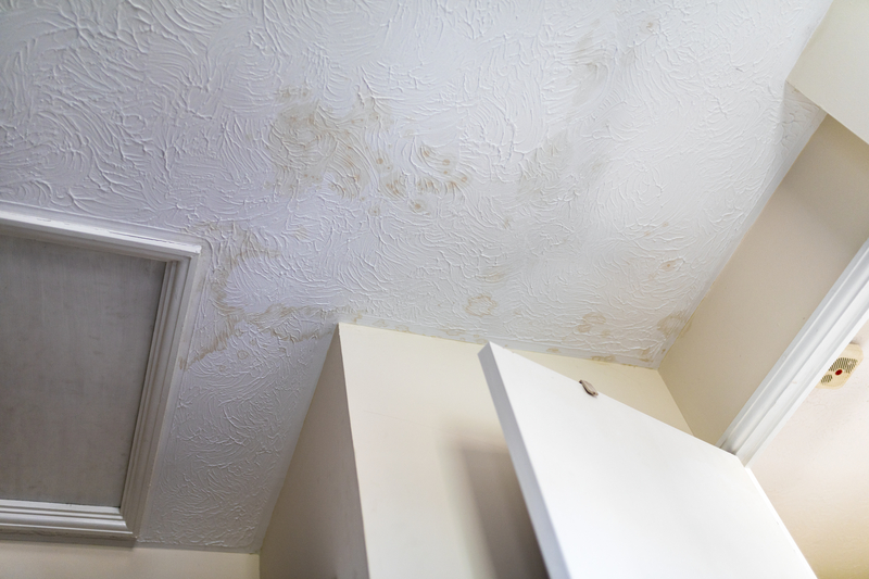 Interpreting Ceiling Stains: Beyond Aesthetic Concerns