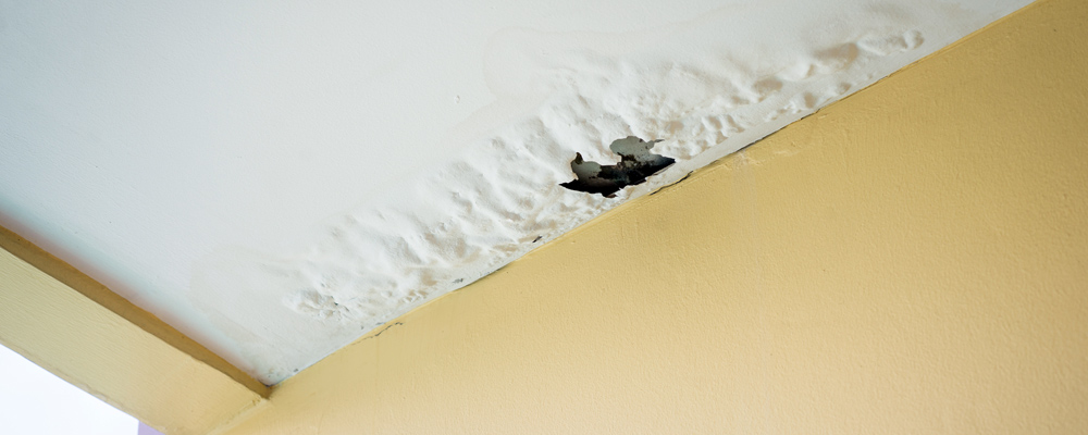Roof Leak Repair Orlando, FL
